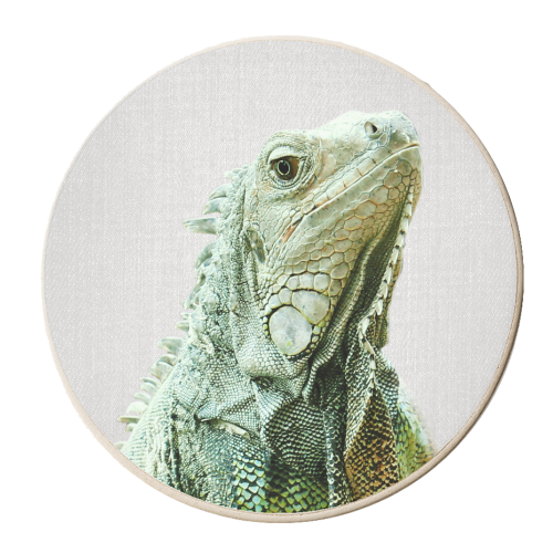 Iguana - Colorful - personalised beer coaster by Gal Design