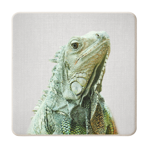 Iguana - Colorful - personalised beer coaster by Gal Design
