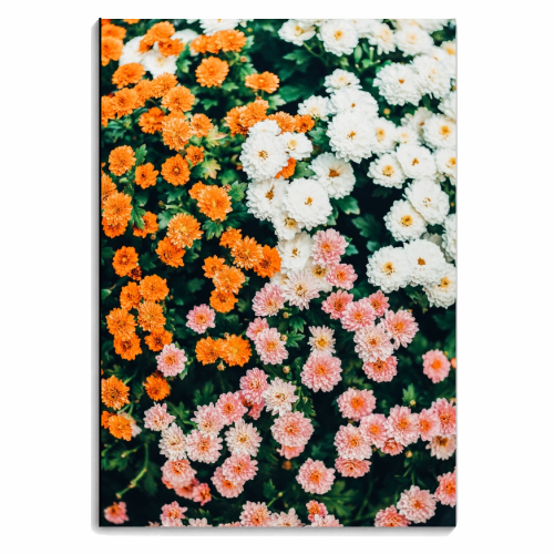 In My Garden - personalised A4, A5, A6 notebook by Uma Prabhakar Gokhale