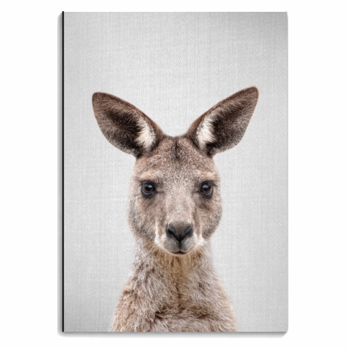 Kangaroo - Colorful - personalised A4, A5, A6 notebook by Gal Design