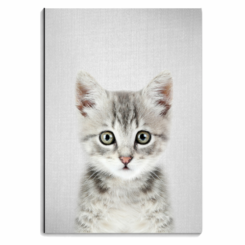 Kitten - Colorful - personalised A4, A5, A6 notebook by Gal Design