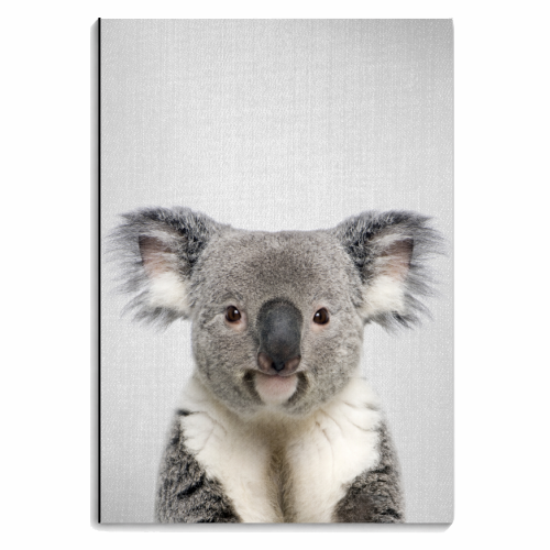 Koala - Colorful - personalised A4, A5, A6 notebook by Gal Design