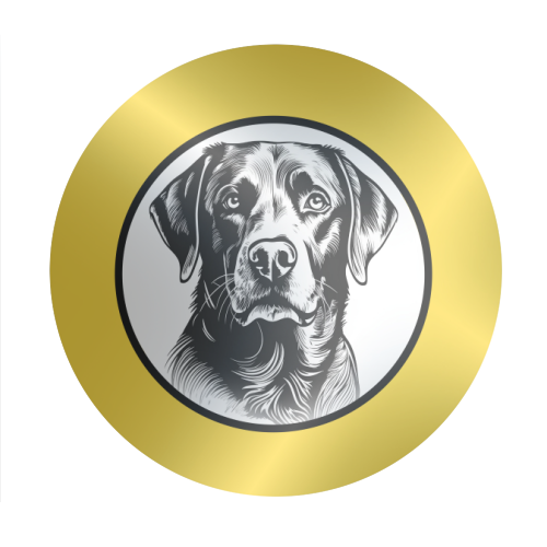 Labrador Cameo Dog Portrait (Yellow) - Circle Sticker by Adam Regester