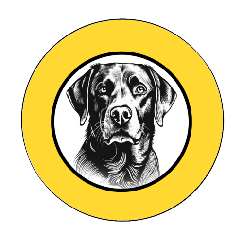 Labrador Cameo Dog Portrait (Yellow) - Circle Sticker by Adam Regester
