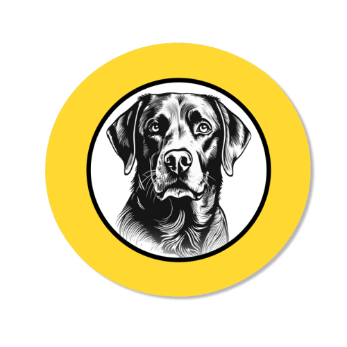 Labrador Cameo Dog Portrait (Yellow) - Magnet by Adam Regester