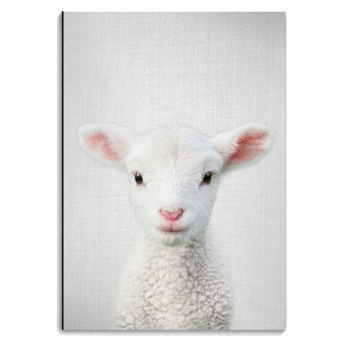 Lamb - personalised A4, A5, A6 notebook by Gal Design