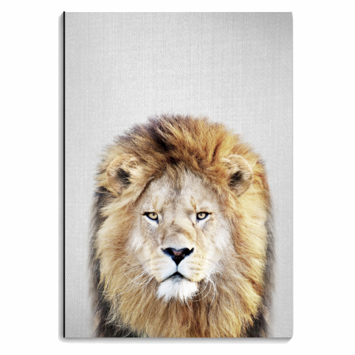 Lion - personalised A4, A5, A6 notebook by Gal Design