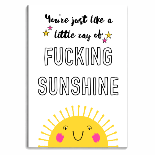 Little Ray Of Fucking Sunshine - personalised A4, A5, A6 notebook by Adam Regester