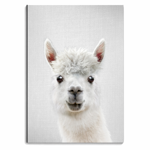 Llama - Colorful - personalised A4, A5, A6 notebook by Gal Design