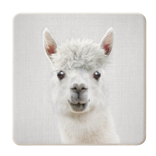 Llama - Colorful - personalised beer coaster by Gal Design