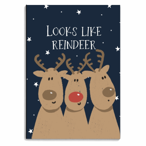 Looks like reindeer - personalised A4, A5, A6 notebook by Giddy Kipper
