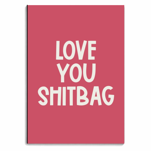 Love you shitbag - personalised A4, A5, A6 notebook by Giddy Kipper