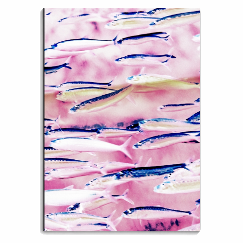 Marked Coast - personalised A4, A5, A6 notebook by Uma Prabhakar Gokhale