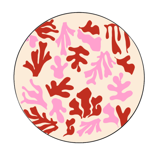 Matisse Pink & Red Abstract Pattern - Circle Sticker by AbstraHaus by EZbie