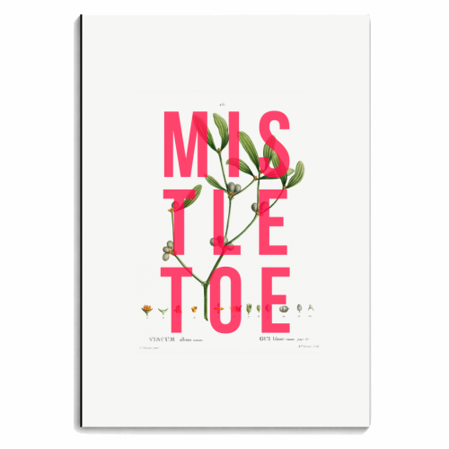 Mistletoe - personalised A4, A5, A6 notebook by The 13 Prints