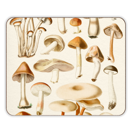 Mushrooms Collection - designer placemat by Gal Design