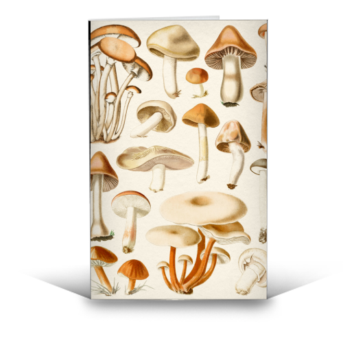 Mushrooms Collection - funny greeting card by Gal Design