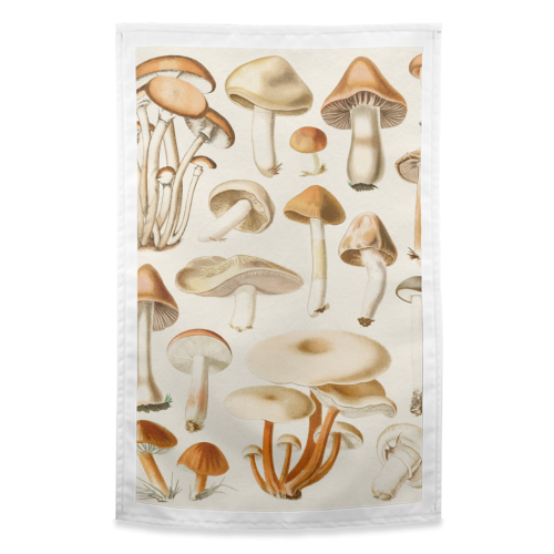 Mushrooms Collection - funny tea towel by Gal Design