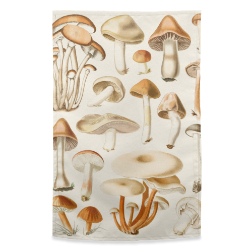 Mushrooms Collection - funny tea towel by Gal Design