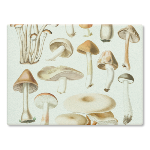 Mushrooms Collection - glass chopping board by Gal Design