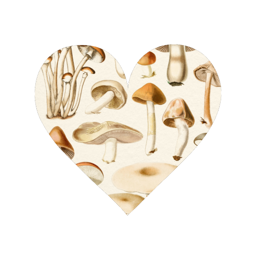 Mushrooms Collection - Magnet by Gal Design