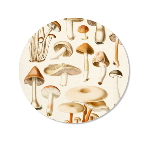 Mushrooms Collection - Magnet by Gal Design