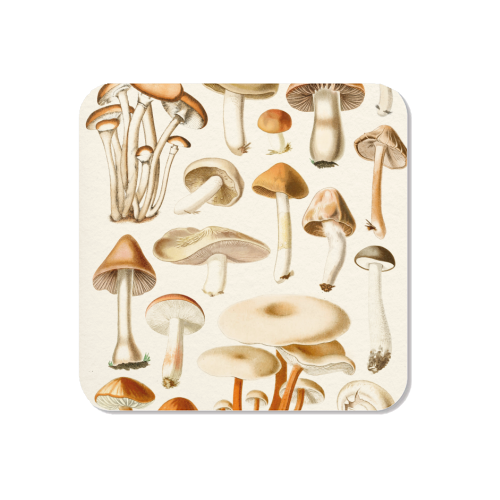 Mushrooms Collection - Magnet by Gal Design