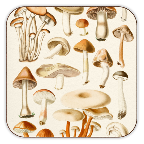 Mushrooms Collection - personalised beer coaster by Gal Design