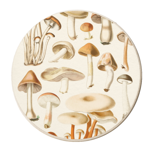 Mushrooms Collection - personalised beer coaster by Gal Design