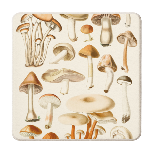 Mushrooms Collection - personalised beer coaster by Gal Design