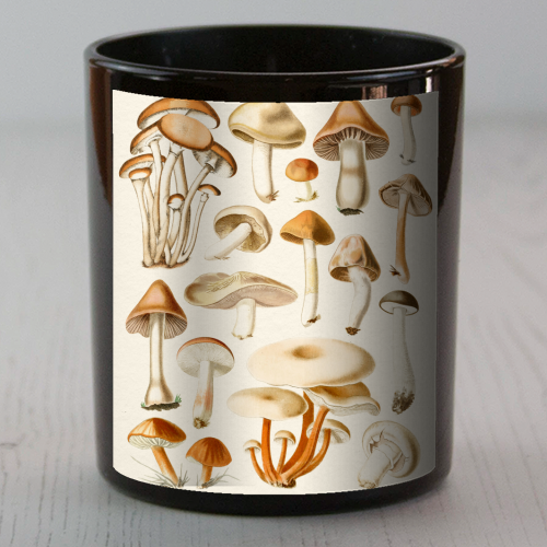 Mushrooms Collection - scented candle by Gal Design