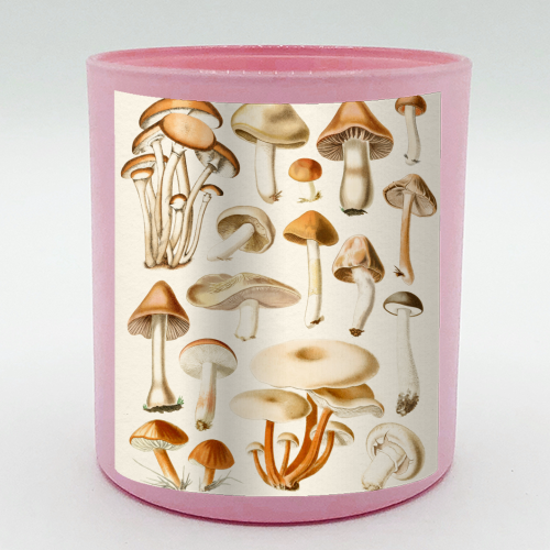Mushrooms Collection - scented candle by Gal Design