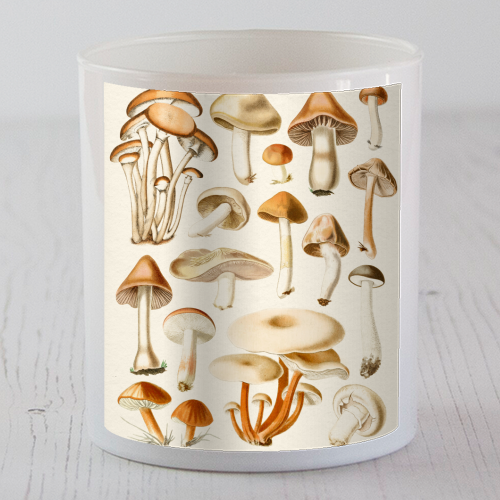 Mushrooms Collection - scented candle by Gal Design