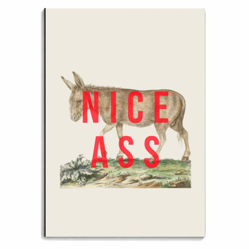 Nice Ass - personalised A4, A5, A6 notebook by The 13 Prints
