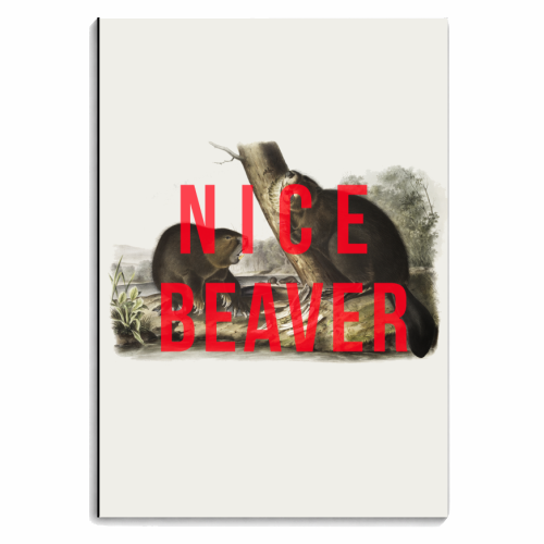 Nice Beaver - personalised A4, A5, A6 notebook by The 13 Prints