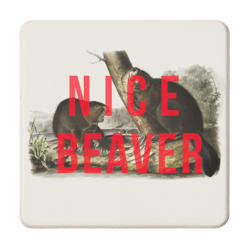 Nice Beaver - personalised beer coaster by The 13 Prints