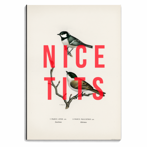 Nice Tits - personalised A4, A5, A6 notebook by The 13 Prints