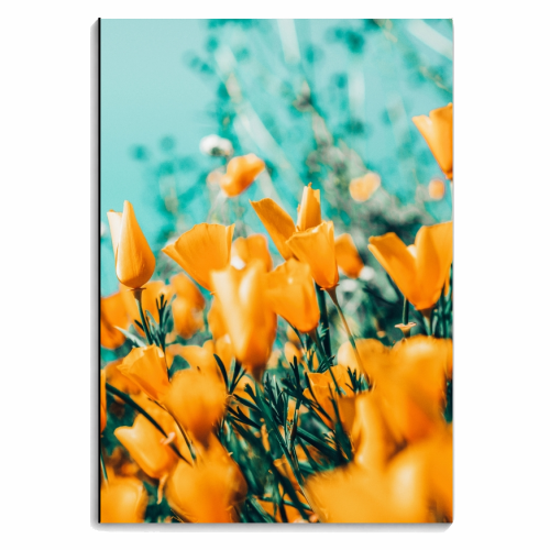 Nyla - personalised A4, A5, A6 notebook by Uma Prabhakar Gokhale