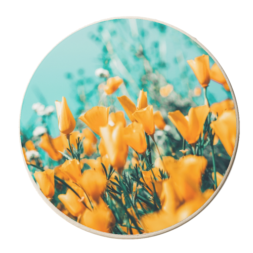 Nyla - personalised beer coaster by Uma Prabhakar Gokhale