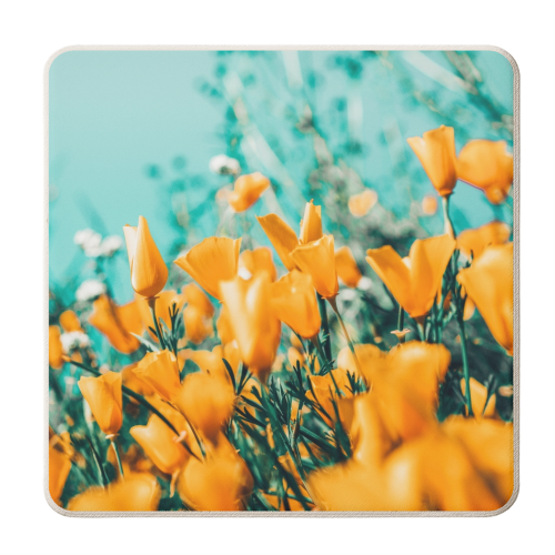 Nyla - personalised beer coaster by Uma Prabhakar Gokhale