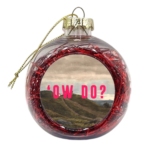 'Ow Do? - xmas bauble by The 13 Prints