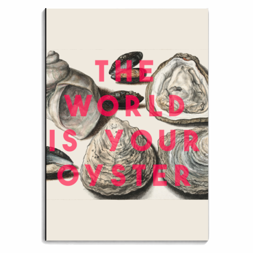 Oysters - personalised A4, A5, A6 notebook by The 13 Prints