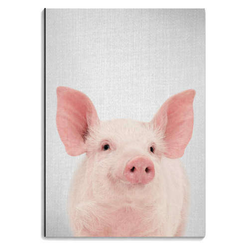 Pig - personalised A4, A5, A6 notebook by Gal Design