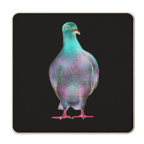 Pigeon - personalised beer coaster by MO LEA