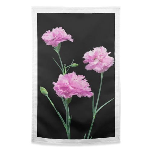 Pinks On Black - funny tea towel by Jon Delorme