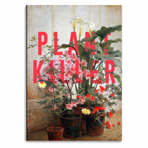 Plant Killer - personalised A4, A5, A6 notebook by The 13 Prints