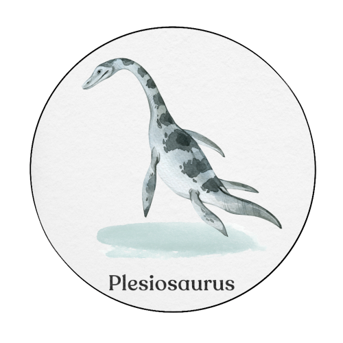 Plesiosaurus - Circle Sticker by Gal Design