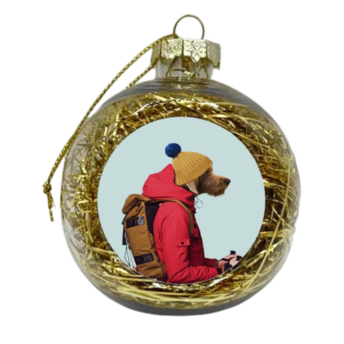 Polaroid n6 - xmas bauble by Francesca Miele