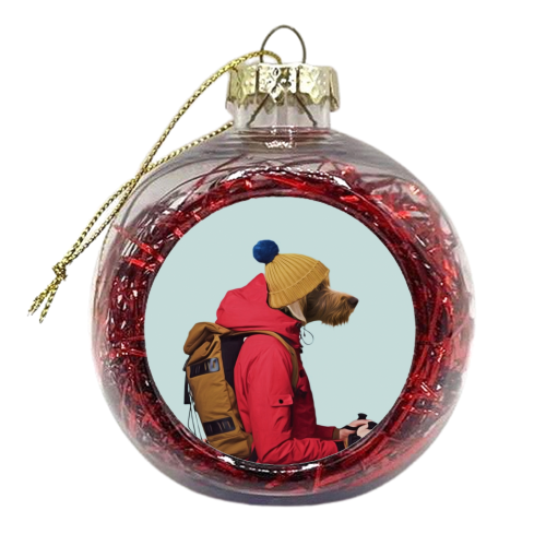 Polaroid n6 - xmas bauble by Francesca Miele