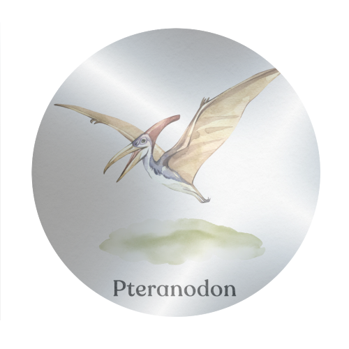 Pteranodon - Circle Sticker by Gal Design